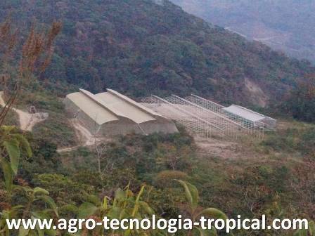 Los agroemprendedores con pocos recursos economicos pueden lograr cosas importantes